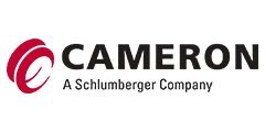 Cameron România — client EGEA