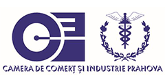 CCI Prahova — client EGEA