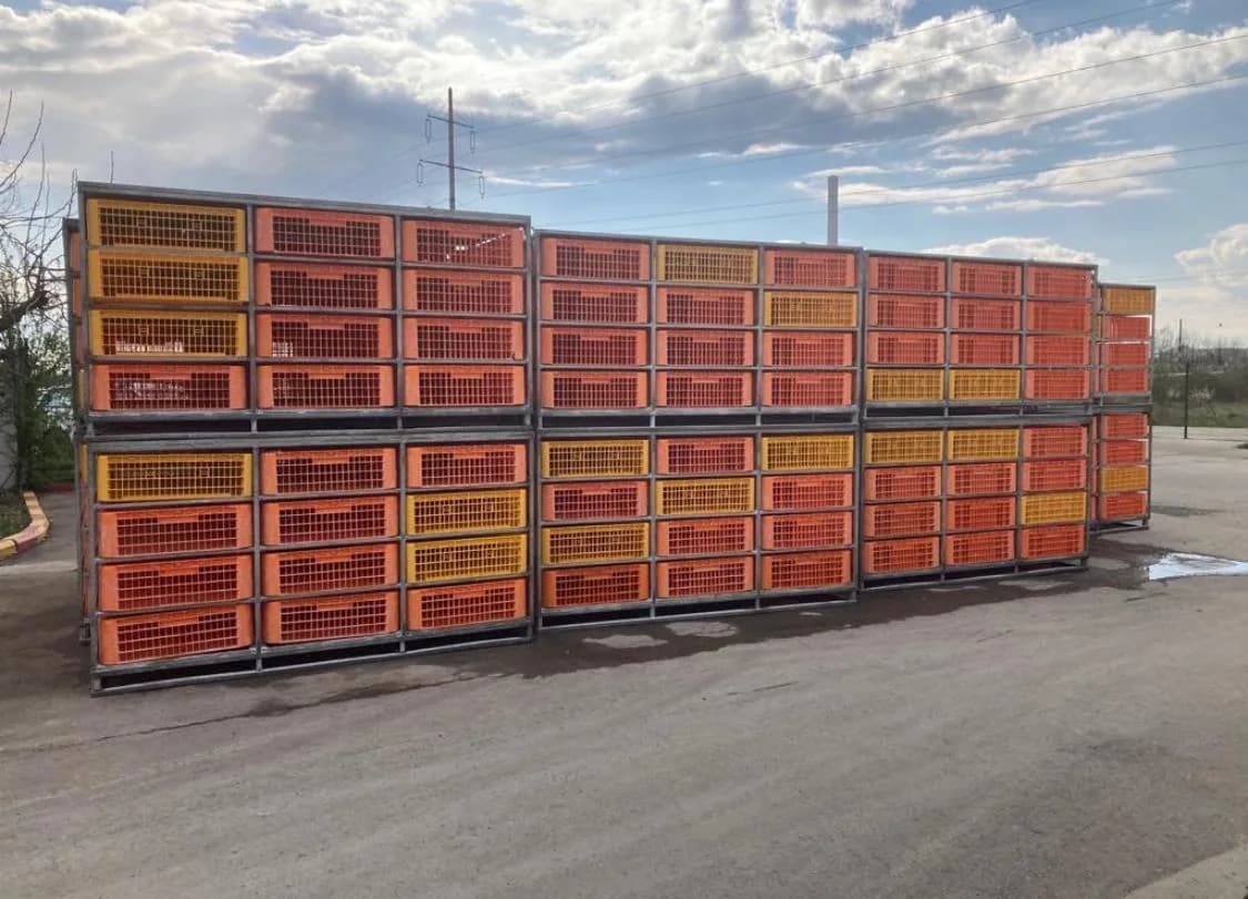 Container transport păsări EGEA — găini vii