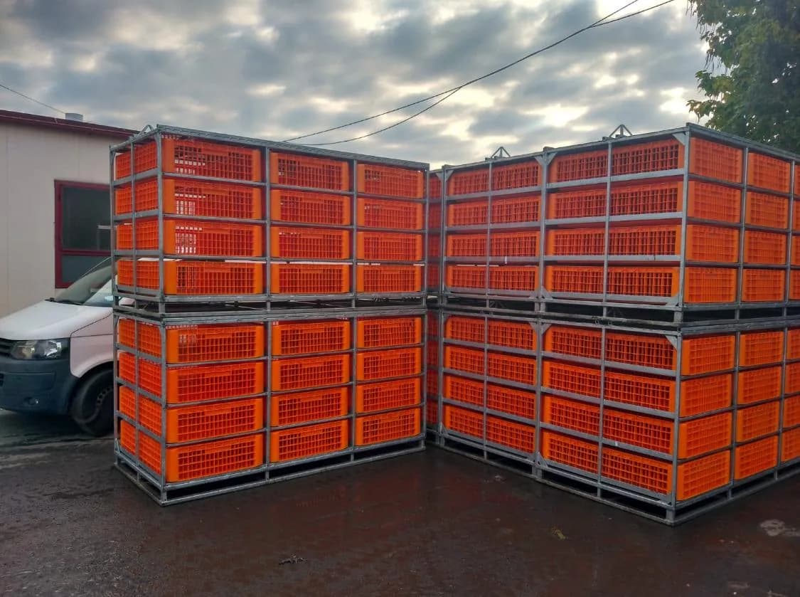 Container transport păsări EGEA — avicol ventilat