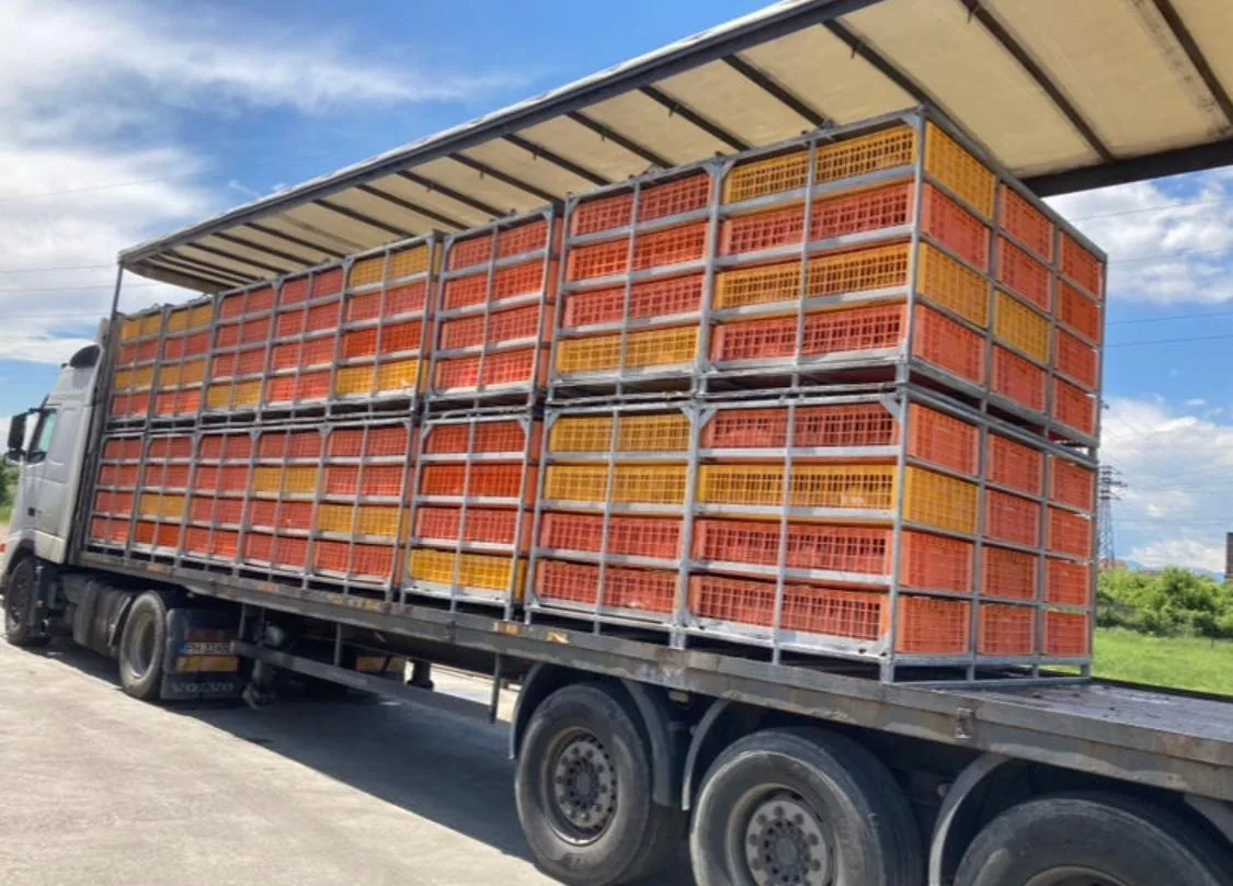Container transport păsări EGEA — camion