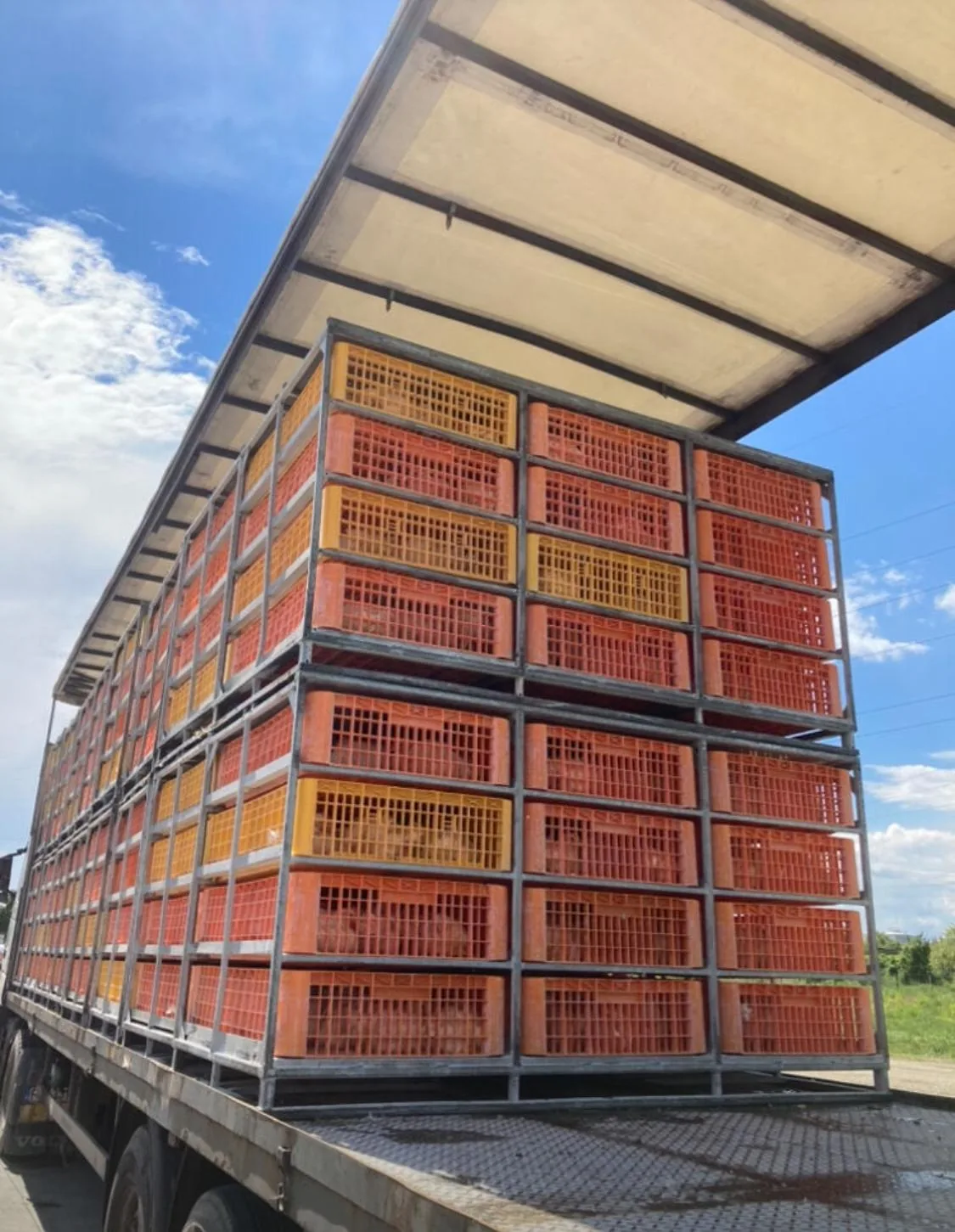 Container transport păsări EGEA — cutii suprapuse
