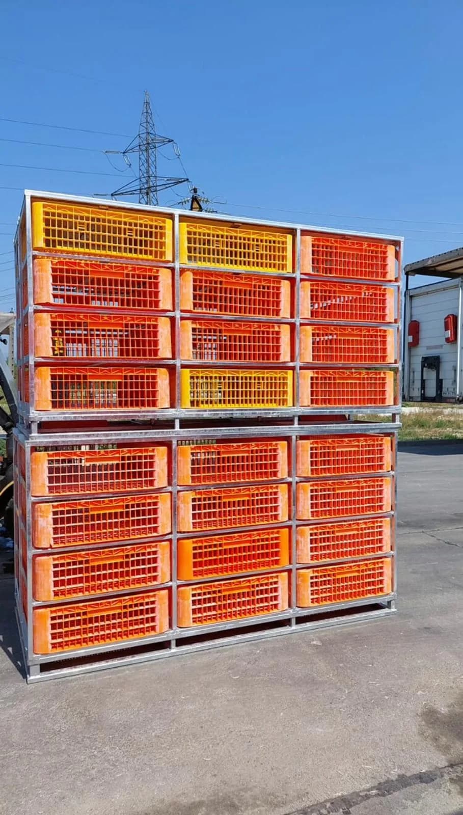 Container transport păsări EGEA