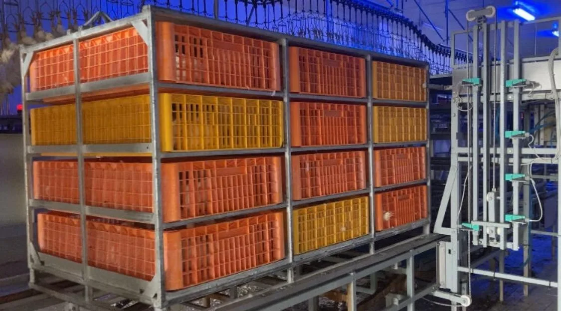 Container transport păsări EGEA — pui fermă avicolă