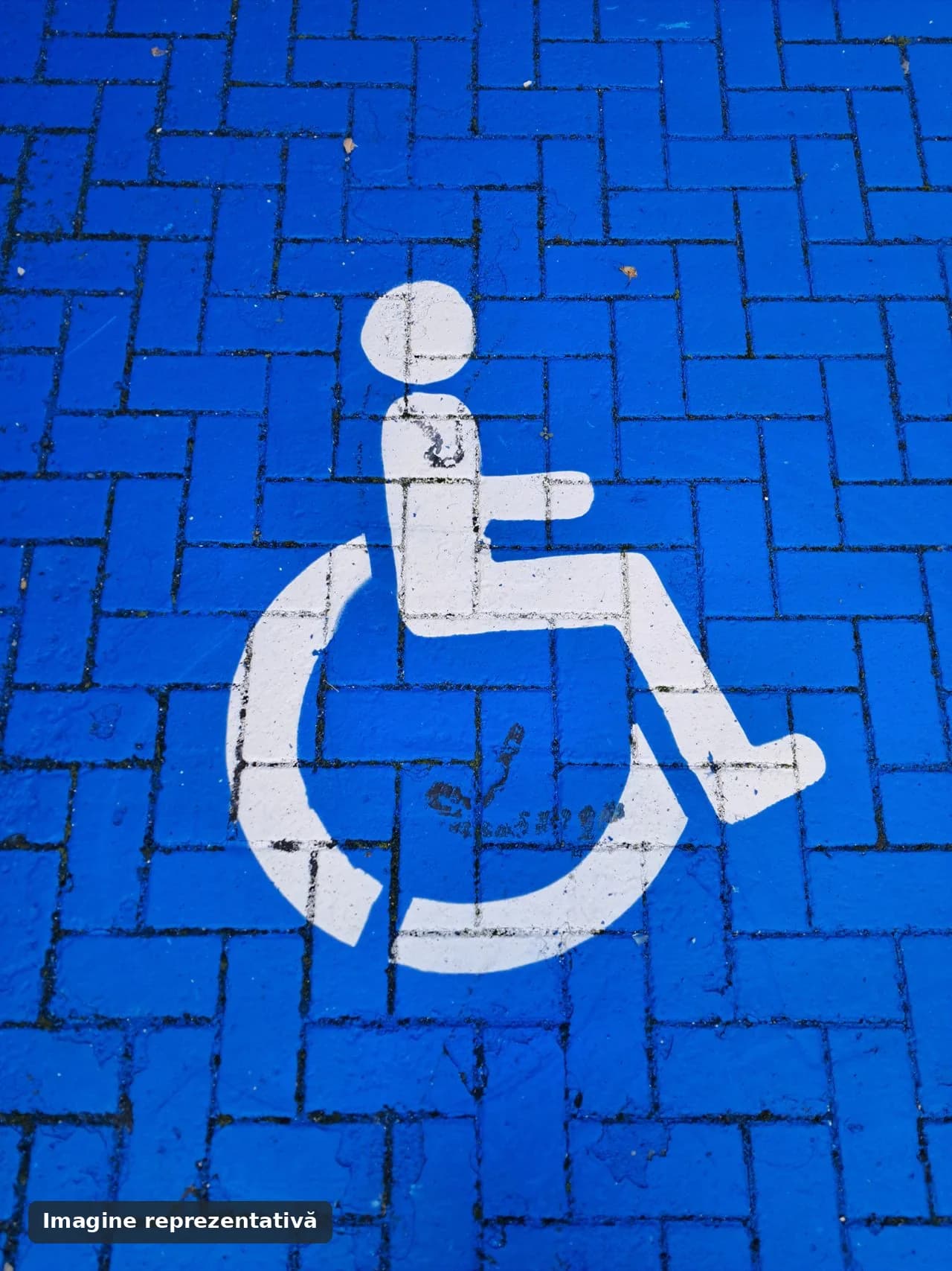 Rampe persoane cu dizabilități EGEA — acces clădire publică
